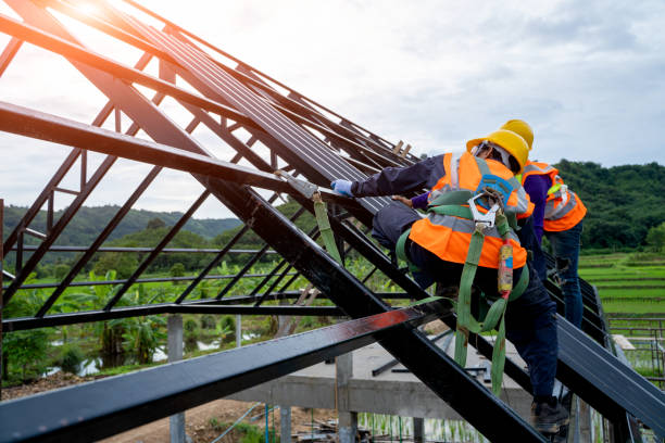 Best Roof Gutter Cleaning  in Merkel, TX